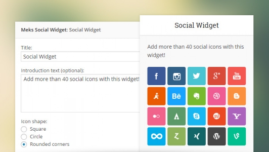 Smart Social Widget