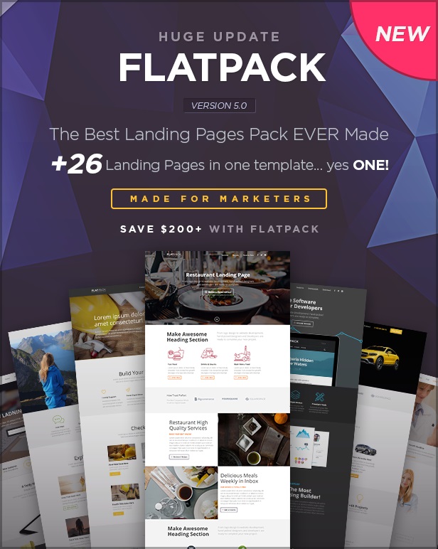 flatpack landing page wordpress themes example