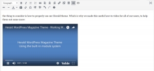 How to embed YouTube video in WordPress - Meks