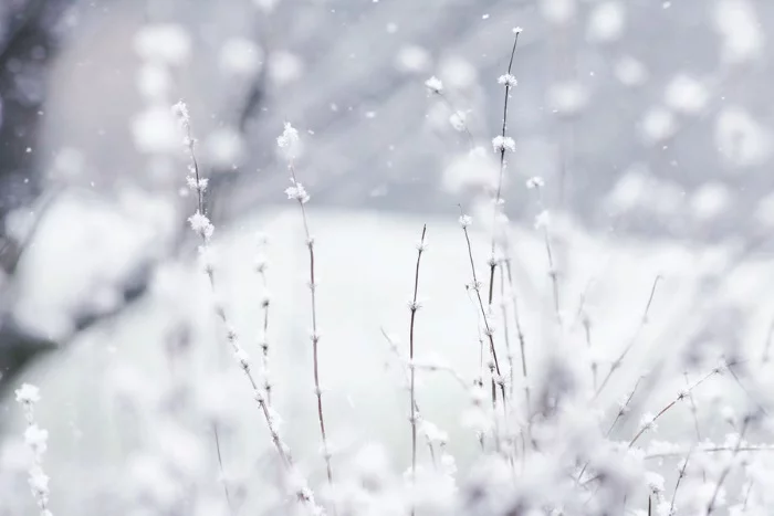 winter screensavers free