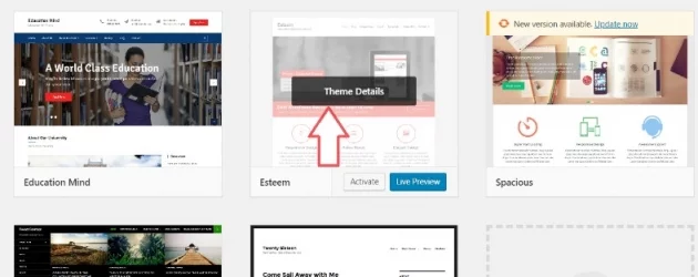 how to delete a WordPress theme when it's inactive, step 2 screenshot