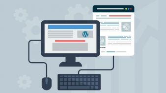 How to become a WordPress web designer?