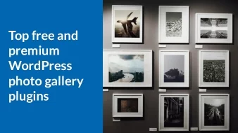 Top free and premium WordPress photo gallery plugins for your website