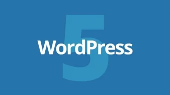 Getting ready for WordPress 5.0 (actionable “to the point” tips & explanation)