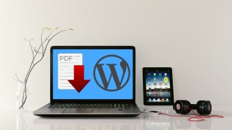 How to embed PDF in WordPress + 7 free plugins to choose from
