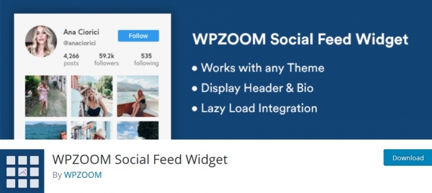wpzoom-social-feed-widget