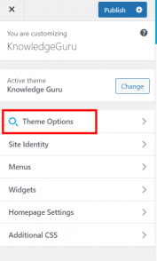 Theme options panel - WordPress Theme Documentation - Meks